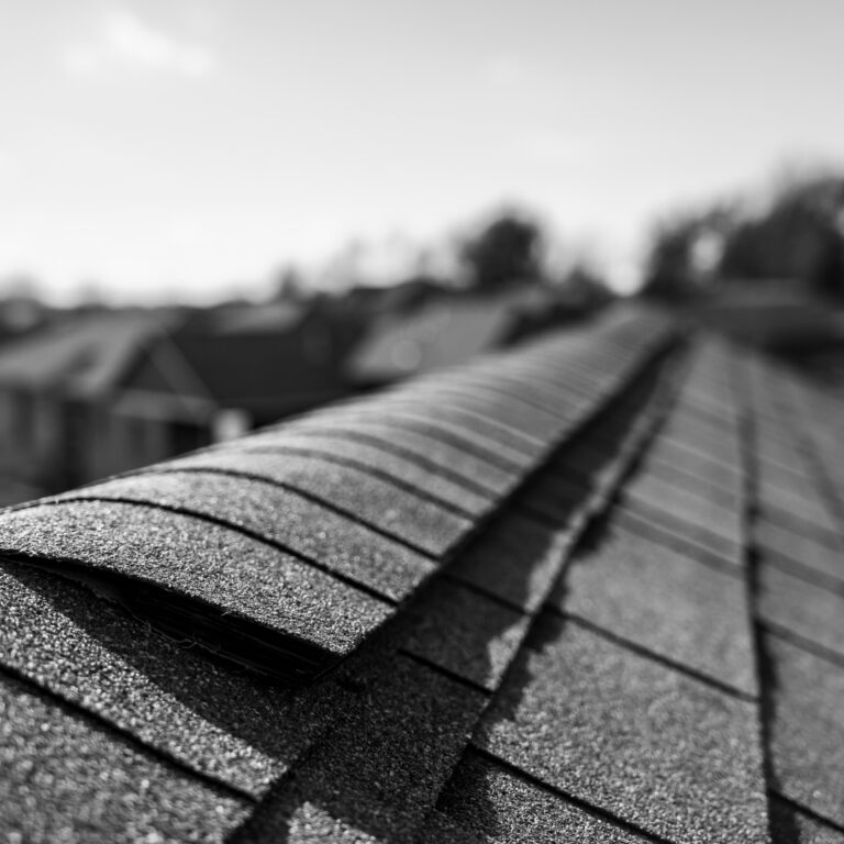 roofing contractors in fox lake, fox lake roofing company, residential roof repair fox lake